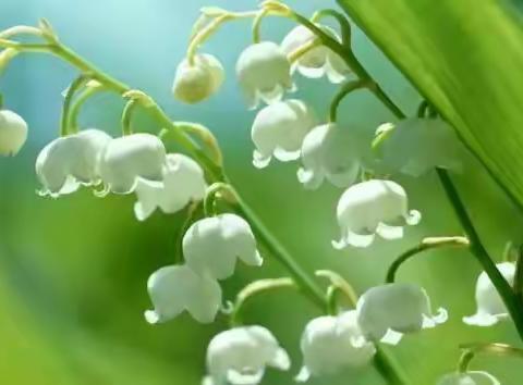 坐看云起的美篇