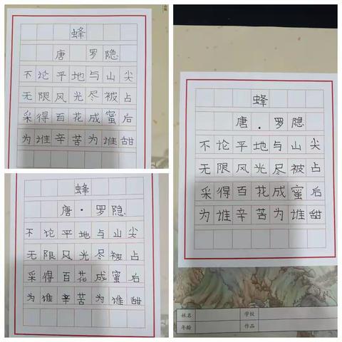 “书写汉字之美，传承经典文化”----万筹小学硬笔书法比赛