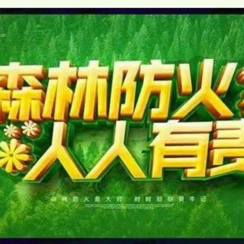 洛宁县长水镇：筑牢防火屏障 守护绿色家园