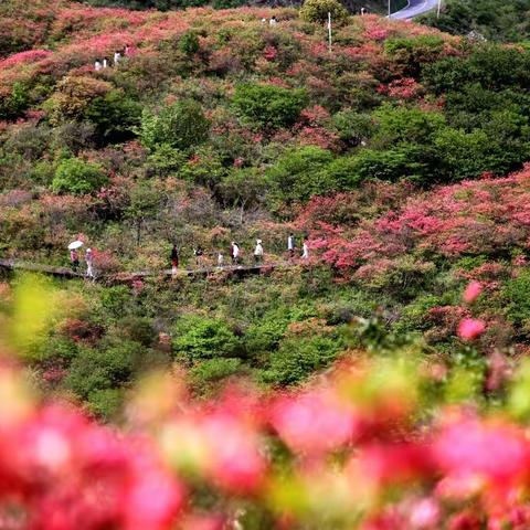 《画里浏阳、情中家乡》