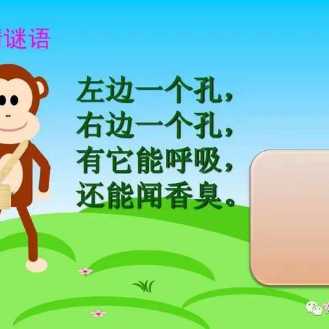 小黄帽幼儿园【快乐居家活动】——小班《保护鼻子》