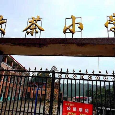 学习雷锋精神，争当优秀学生