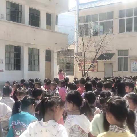 杨三寨小学“播种希望 拥抱春天”植树节实践活动