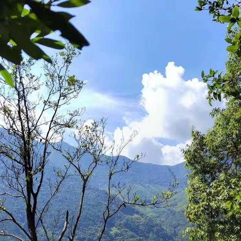 九阜山