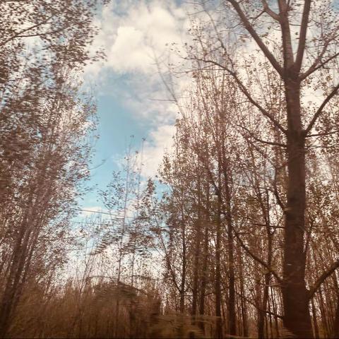 ☁️一朵小小云☁️