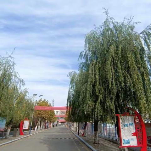 花开“疫”散，“净”待归来