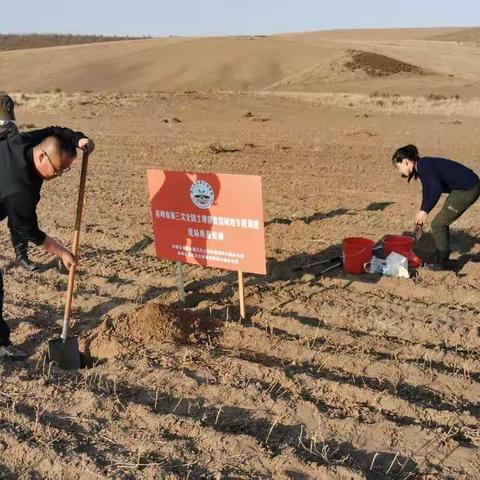 翁牛特旗圆满完成全国第三次土壤普查——盐碱地表层土壤外业调查采样任务
