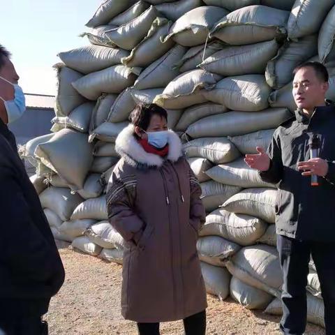 翁牛特旗农牧局组织养殖班高素质农牧民学员进行实地教学