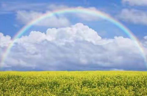 《美丽彩虹的秘密》——平安中心幼儿园中二班主题活动