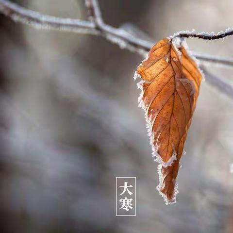 “大寒迎年”—富镇学区富镇小学