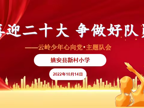 喜迎二十大 争做好队员