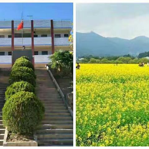 期待春暖花开时，再传校园朗朗书声——停课不停学我们在行动