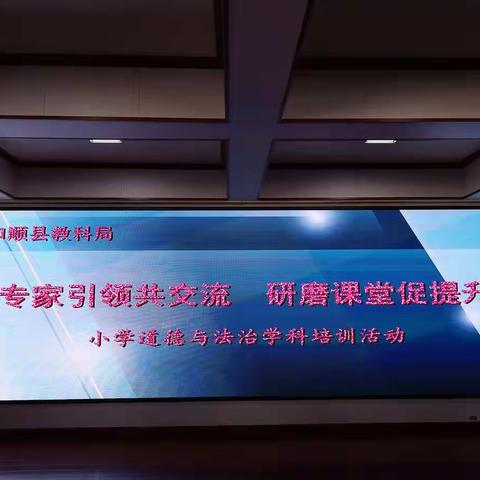 前置性作业背景下---专家引领共交流 研磨课堂促提升滨河学校---道德与法治