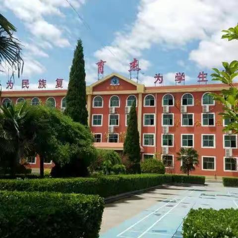 六（1）班最美小组💖最美个人🌺
