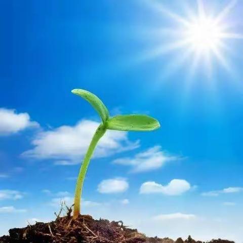 向着阳光☀️快乐成长