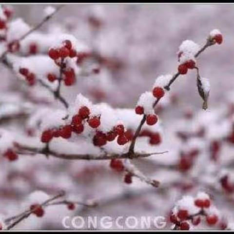 宝剑锋从磨砺出梅花香自苦寒来（2）