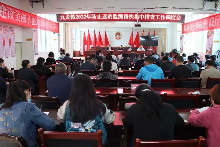 九龙镇组织召开2022年防止返贫监测帮扶集中排查工作调度会