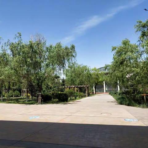 乌达区“青春健康教育项目”启动仪式暨初中部心理剧决赛