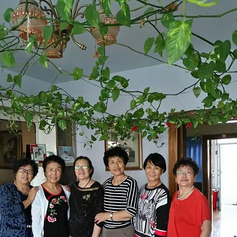 时光不老 我们不散……