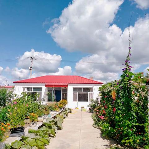 还我美田园……