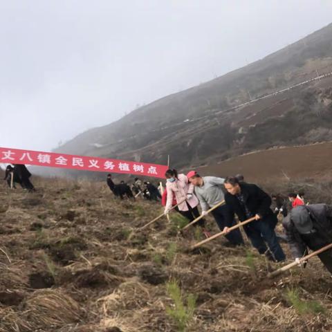 植树造林添新绿 乡村振兴增活力——丈八镇植树节再添新绿