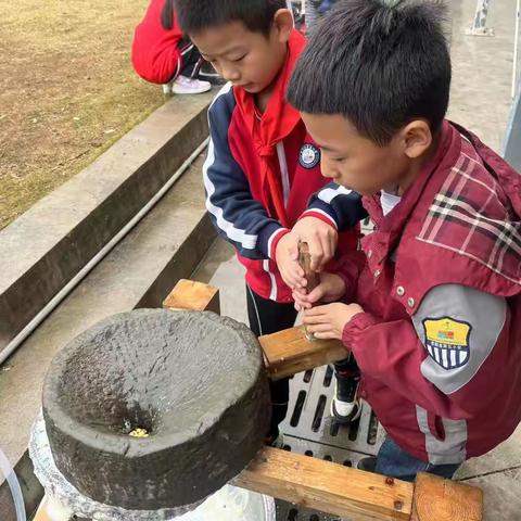 崇阳县第五小学405班研学旅行记(第2天)