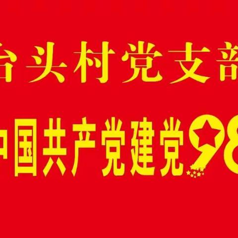 台头村党支部开展“不忘初心  牢记使命”主题教育活动
