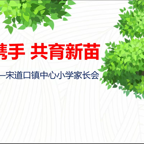 家校携手 共育新苗 ——宋道口镇中心小学家长会纪实