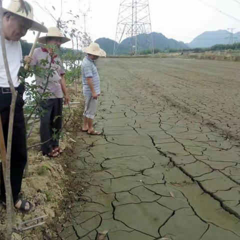 枫坑水库党支部“开展服务便民百日行动”