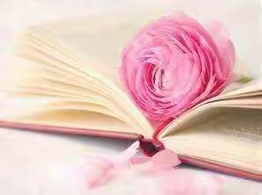 让书香浸润人生，让创新之花绽放