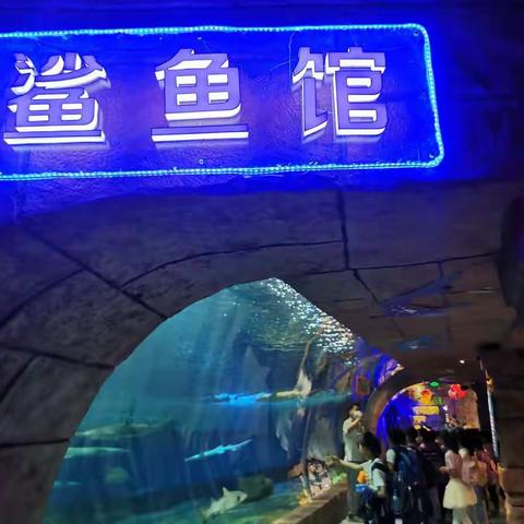 渝中区两路口小学校二年级二班丨我就是海洋卫士