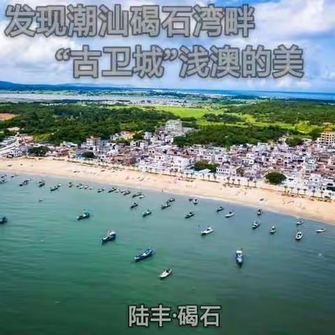 2019年（第一期）美丽文化古镇碣石湾“两天一夜”夏令营