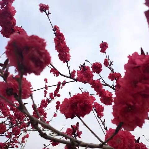 【体育·册山中小五6中队】                                                                 我运动·我快乐