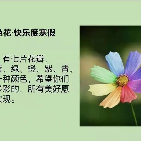 一朵七色花·快乐度寒假——紫水学校二年级学生假期生活篇