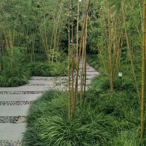 大美宿迁三台山，我的老家