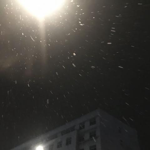 雨雪挡不住的情怀