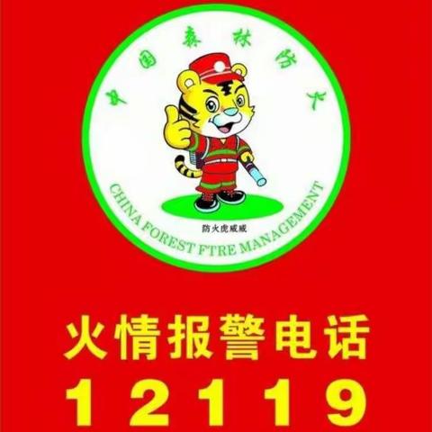 “森林防火、从小做起、从我做起”湾桥幼儿园2021年12月份森林防火安全教育主题活动