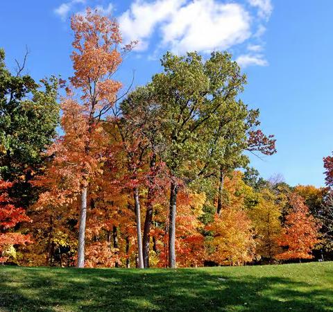 秋风吹来喽~~~🍁🍁