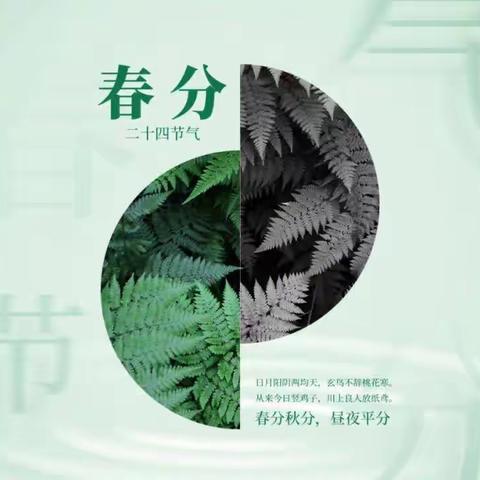 “春趣盎然春分至”碧水家园幼儿园二十四节气系列活动（大班春分篇）