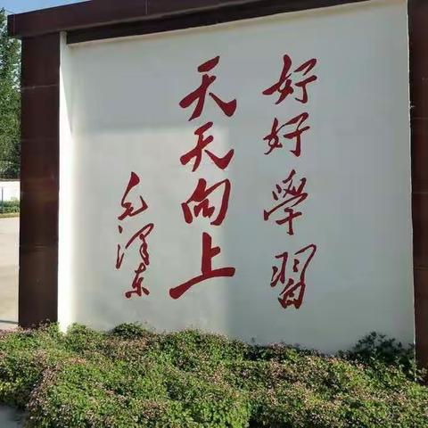 农村小学 风采依然--西平县谭店桂河小学线上教学持续记