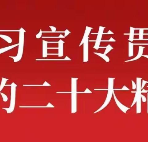 大路陈小学党支部认真学习贯彻党的二十大精神