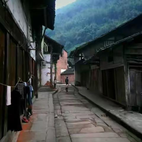 凤凰！凤凰！