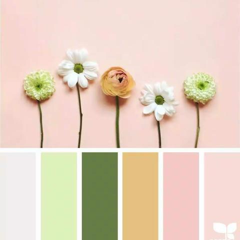 乐教促乐学 家园同成长——第十二幼儿园小班组线上系列活动安排（第十七期至第二十期）