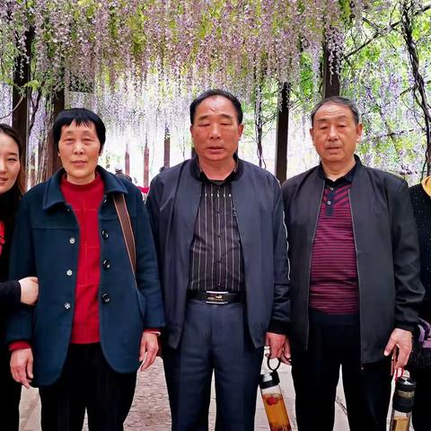 一次不同寻常的游览观光