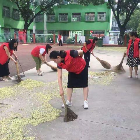 靓丽星期五，二小在行动