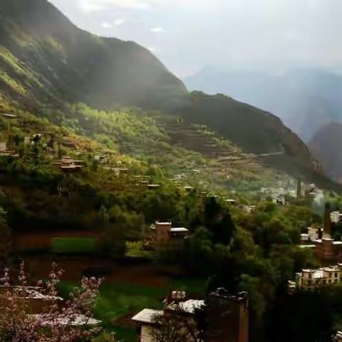 我明白你会来，所以我等