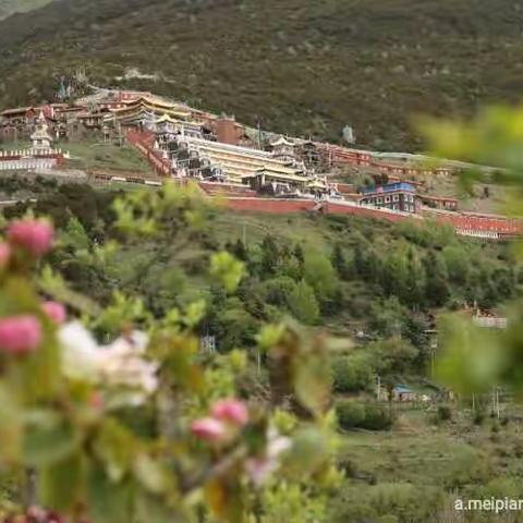 那一方净土——记昌都寺