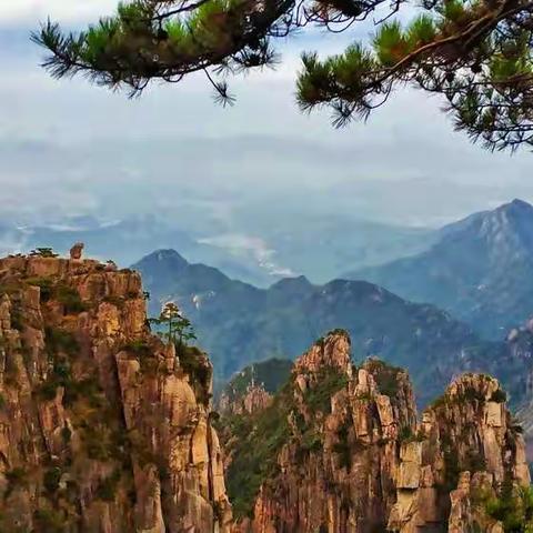 风景这边独好