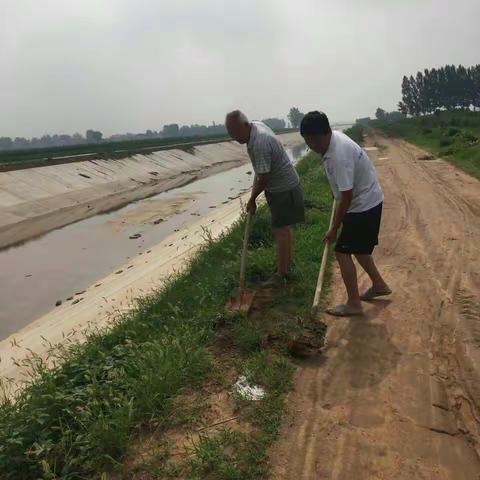 临漳县水利局柏鹤水利站清渠进度