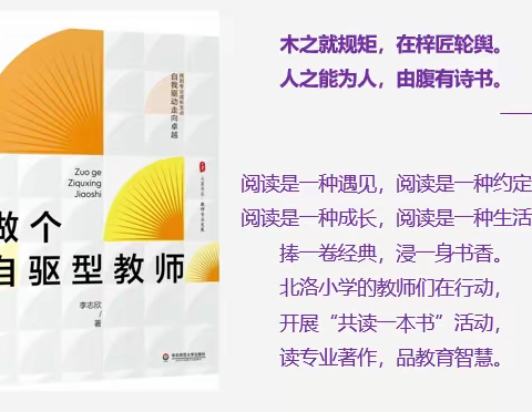 同阅读 共成长--古城街道北洛小学教师暑假共读书线上交流活动
